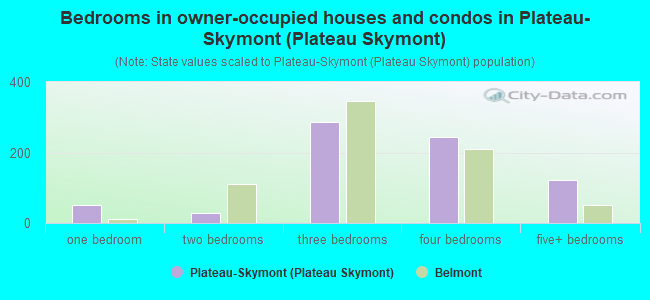 Bedrooms in owner-occupied houses and condos in Plateau-Skymont (Plateau Skymont)