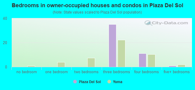 Bedrooms in owner-occupied houses and condos in Plaza Del Sol
