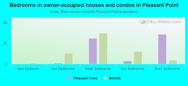 Bedrooms in owner-occupied houses and condos in Pleasant Point