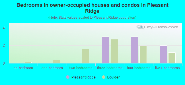 Bedrooms in owner-occupied houses and condos in Pleasant Ridge