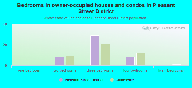 Bedrooms in owner-occupied houses and condos in Pleasant Street District