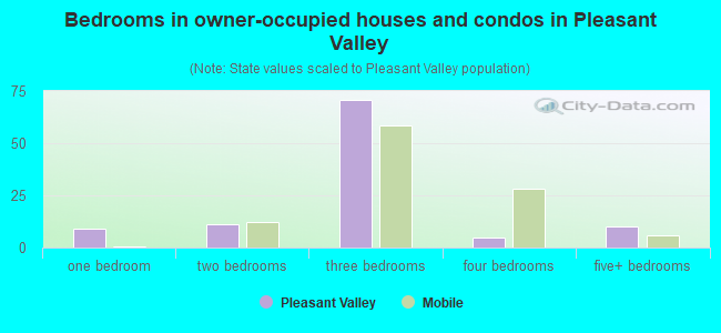 Bedrooms in owner-occupied houses and condos in Pleasant Valley