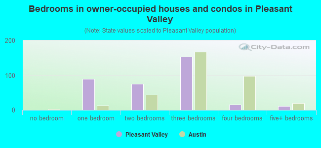 Bedrooms in owner-occupied houses and condos in Pleasant Valley