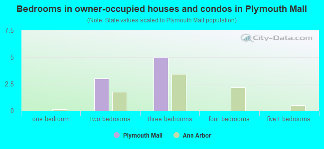 Bedrooms in owner-occupied houses and condos in Plymouth Mall