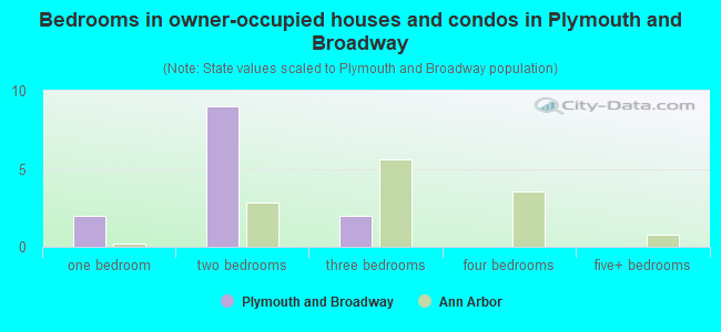 Bedrooms in owner-occupied houses and condos in Plymouth and Broadway