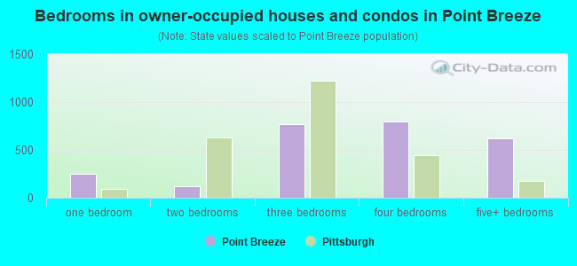 Bedrooms in owner-occupied houses and condos in Point Breeze