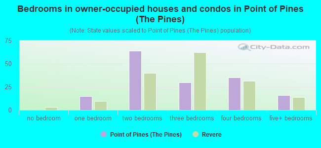 Bedrooms in owner-occupied houses and condos in Point of Pines (The Pines)