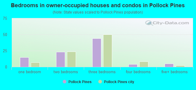 Bedrooms in owner-occupied houses and condos in Pollock Pines