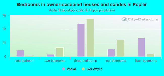 Bedrooms in owner-occupied houses and condos in Poplar