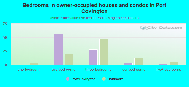 Bedrooms in owner-occupied houses and condos in Port Covington