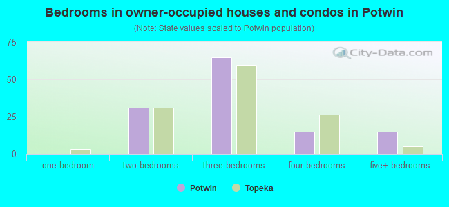 Bedrooms in owner-occupied houses and condos in Potwin