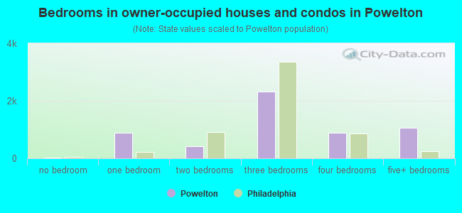 Bedrooms in owner-occupied houses and condos in Powelton