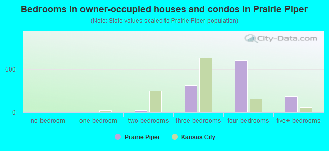 Bedrooms in owner-occupied houses and condos in Prairie Piper