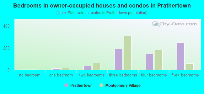 Bedrooms in owner-occupied houses and condos in Prathertown