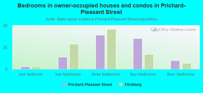 Bedrooms in owner-occupied houses and condos in Prichard-Pleasant Street