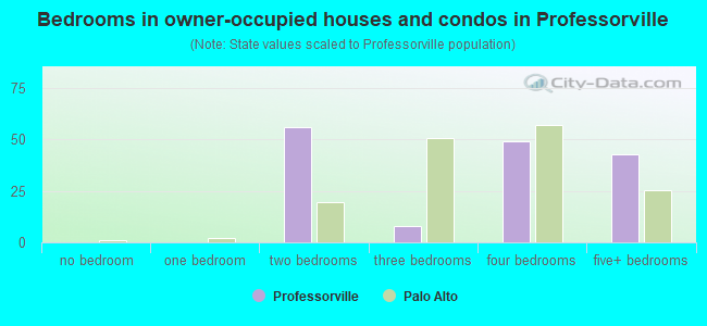 Bedrooms in owner-occupied houses and condos in Professorville