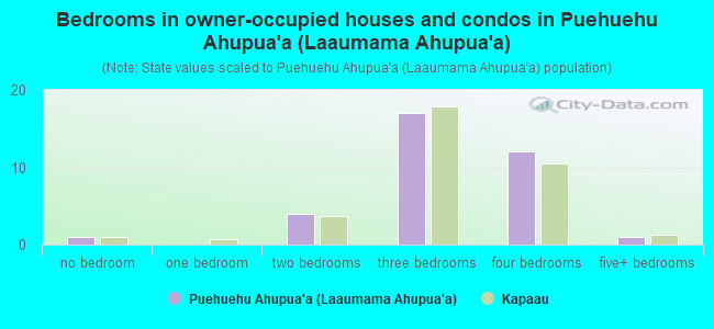 Bedrooms in owner-occupied houses and condos in Puehuehu Ahupua`a (Laaumama Ahupua`a)