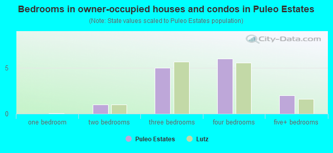 Bedrooms in owner-occupied houses and condos in Puleo Estates