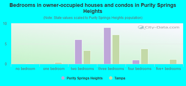 Bedrooms in owner-occupied houses and condos in Purity Springs Heights