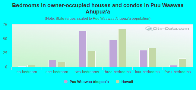 Bedrooms in owner-occupied houses and condos in Puu Waawaa Ahupua`a