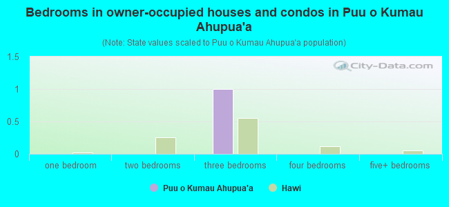 Bedrooms in owner-occupied houses and condos in Puu o Kumau Ahupua`a