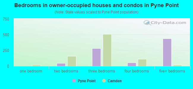Bedrooms in owner-occupied houses and condos in Pyne Point