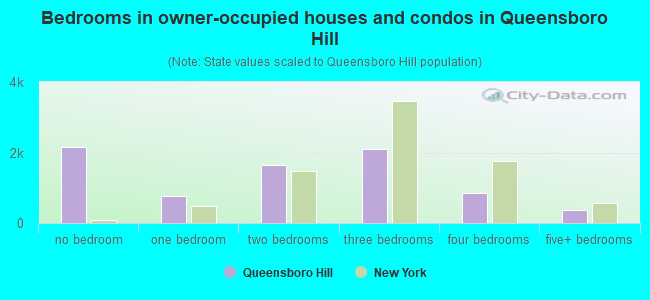 Bedrooms in owner-occupied houses and condos in Queensboro Hill