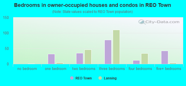 Bedrooms in owner-occupied houses and condos in REO Town