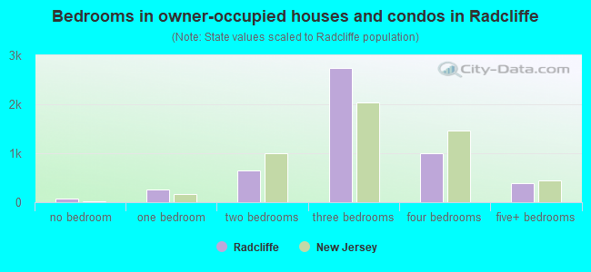 Bedrooms in owner-occupied houses and condos in Radcliffe