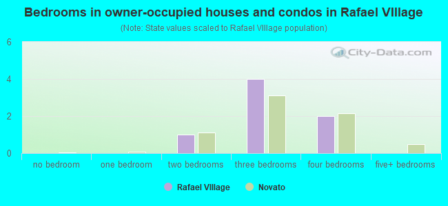 Bedrooms in owner-occupied houses and condos in Rafael VIllage