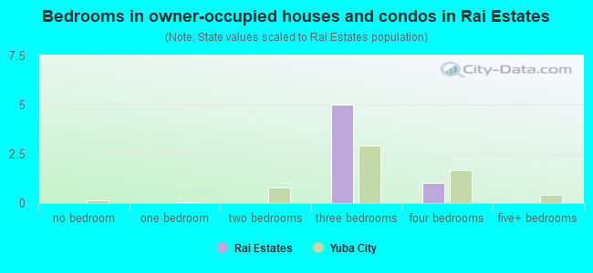 Bedrooms in owner-occupied houses and condos in Rai Estates