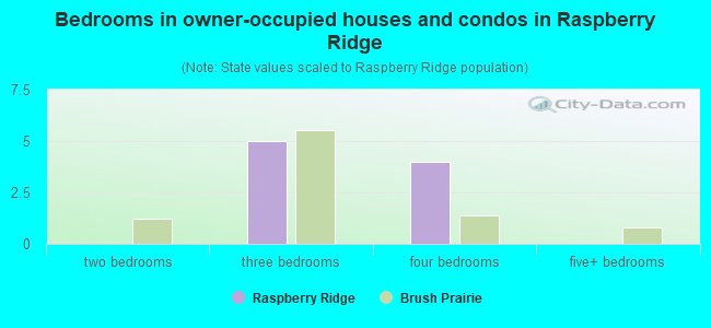 Bedrooms in owner-occupied houses and condos in Raspberry Ridge