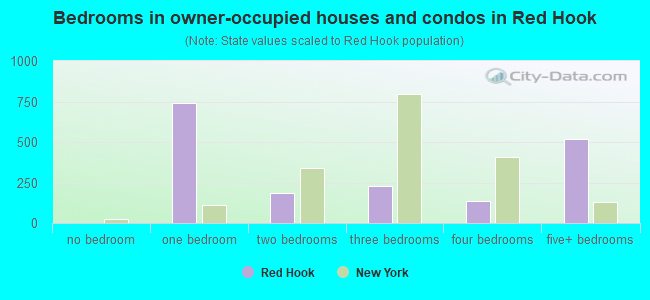 Bedrooms in owner-occupied houses and condos in Red Hook