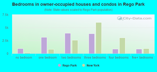 Bedrooms in owner-occupied houses and condos in Rego Park