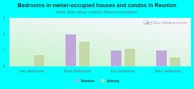 Bedrooms in owner-occupied houses and condos in Reunion