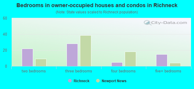 Bedrooms in owner-occupied houses and condos in Richneck