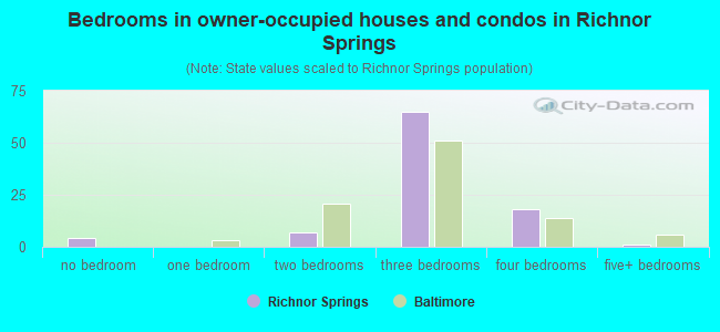 Bedrooms in owner-occupied houses and condos in Richnor Springs