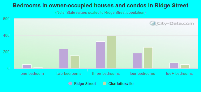 Bedrooms in owner-occupied houses and condos in Ridge Street