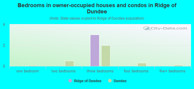 Bedrooms in owner-occupied houses and condos in Ridge of Dundee