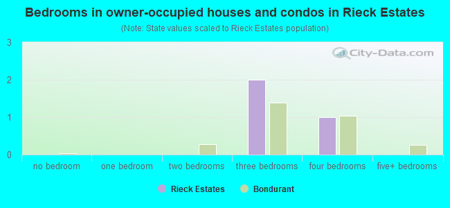 Bedrooms in owner-occupied houses and condos in Rieck Estates