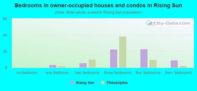 Bedrooms in owner-occupied houses and condos in Rising Sun