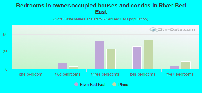 Bedrooms in owner-occupied houses and condos in River Bed East