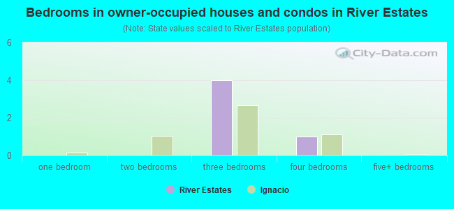 Bedrooms in owner-occupied houses and condos in River Estates