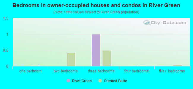 Bedrooms in owner-occupied houses and condos in River Green