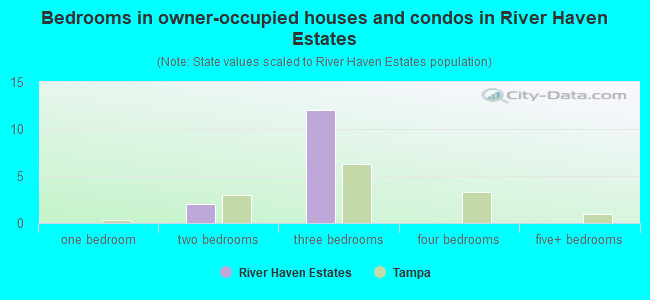 Bedrooms in owner-occupied houses and condos in River Haven Estates