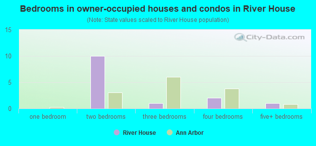 Bedrooms in owner-occupied houses and condos in River House