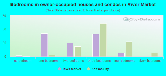 Bedrooms in owner-occupied houses and condos in River Market
