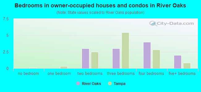 Bedrooms in owner-occupied houses and condos in River Oaks