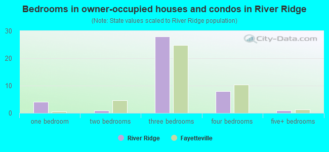 Bedrooms in owner-occupied houses and condos in River Ridge