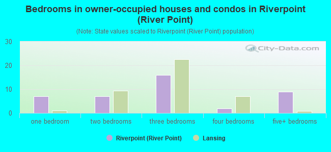 Bedrooms in owner-occupied houses and condos in Riverpoint (River Point)